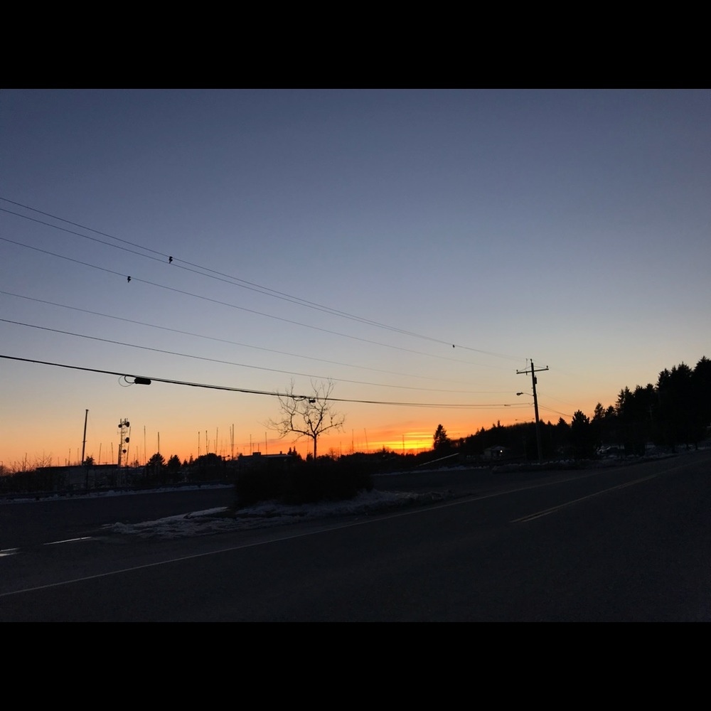 Meet your Posher, Tatum